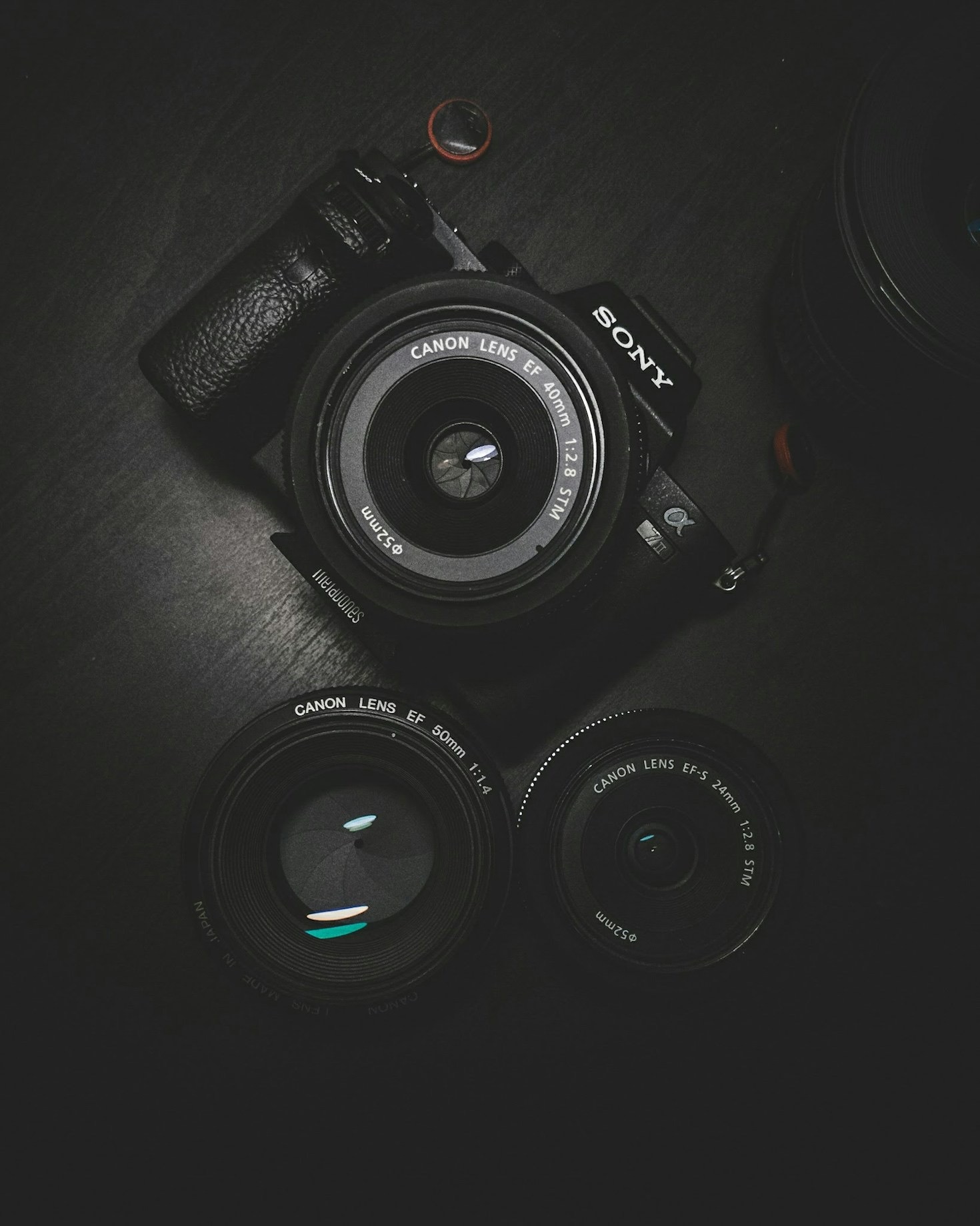 How I Fell in Love with Photography